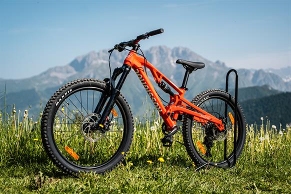 MTB 20"
